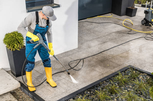 Best House Pressure Washing  in Cactus Flats, AZ